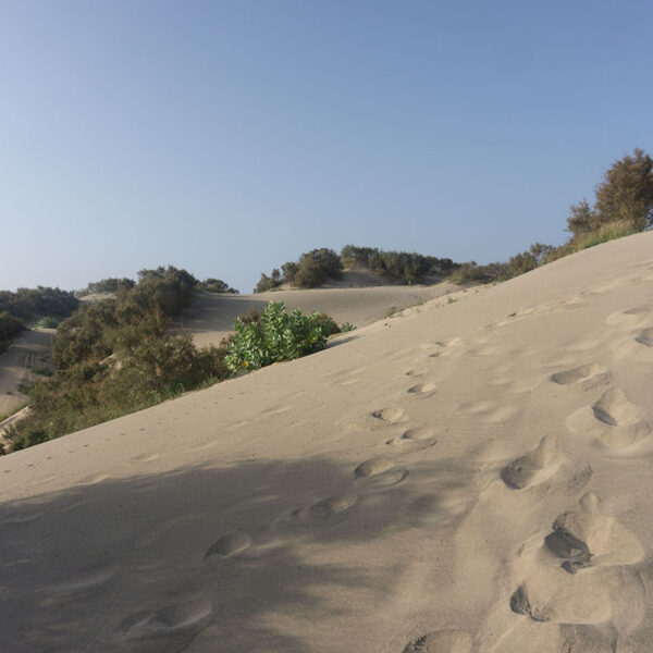 Dunes de 