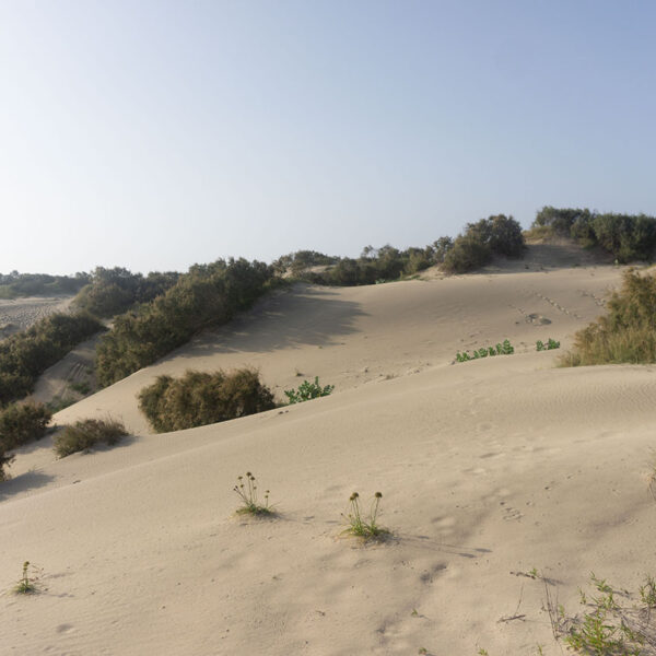 Les incroyables dunes de 