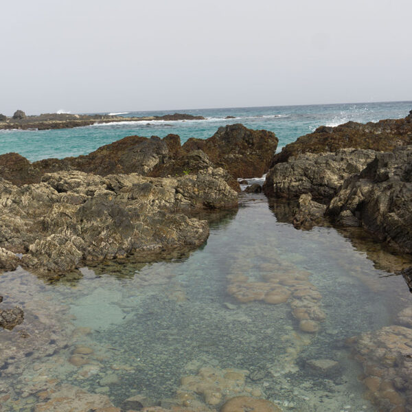 Piscine naturelle