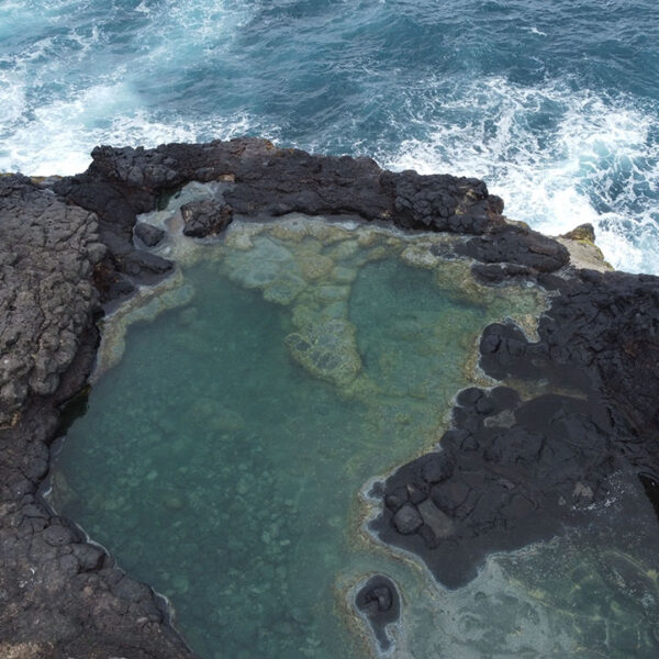 Piscine naturelle