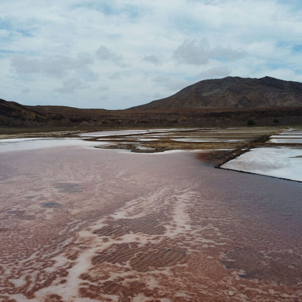 Salines Pedra