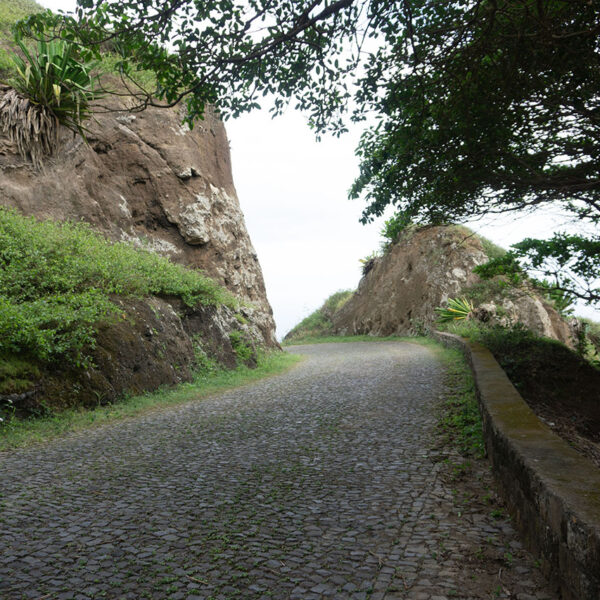 Sur la route de 